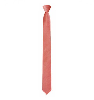 BT002 custom made solid color casual narrow tie Korean men's and women's tie thin tie supplier detail view-21